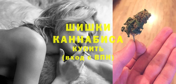 сатива Струнино