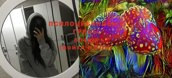 крисы Елабуга