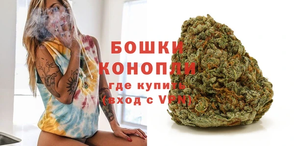 крисы Елабуга