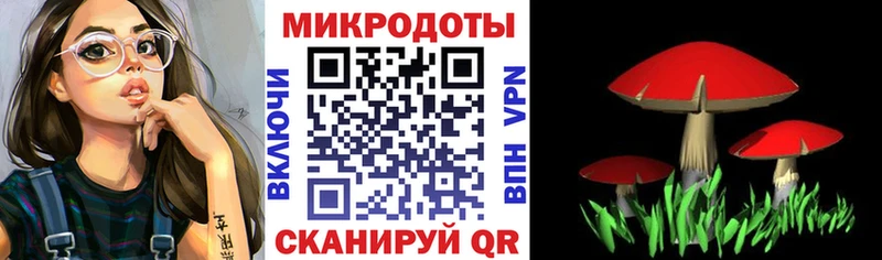 как найти   Дорогобуж  Галлюциногенные грибы GOLDEN TEACHER 